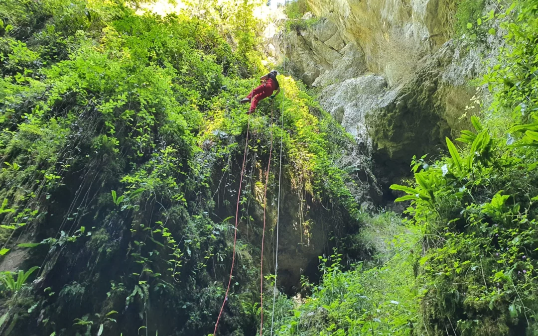 Programme vacances de la Toussaint